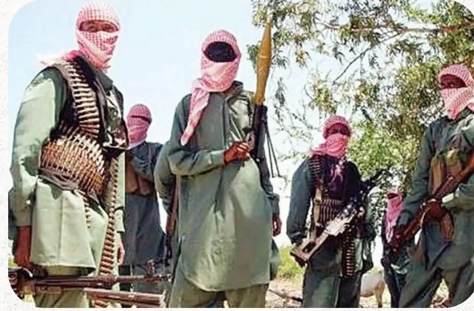 Terrorists Loyal To Bello Turji Kill Several Residents, Abduct Young Women In Sokoto Community